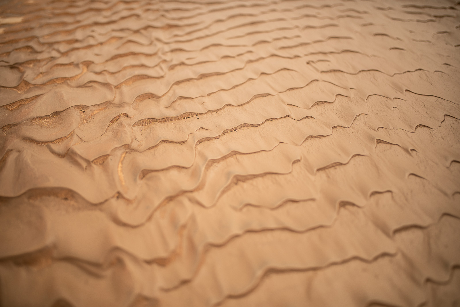 Human & Nature  outoftime 118